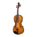 B-V165 Beginer Genial 2 Nitro Альт, Gliga B-V165 Beginer Genial 2 Nitro Альт, Gliga