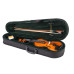 FLT-VP1/8 Скрипка в комплекте Fleet