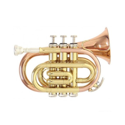 Roy Benson PT-101 G Bb карманная труба