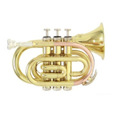 Roy Benson PT-101 Bb карманная труба