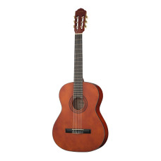 CG220-4/4 Классическая гитара Naranda