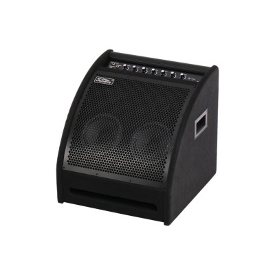 DS200 Монитор для электронной ударной установки, 200Вт, Soundking