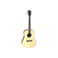 VGS BR-10 Belle Rose акустическая гитара