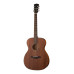 S22M-NS Акустическая гитара, с чехлом, матовая, Parkwood