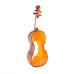 B-V155 Beginer Genial 2 Nitro Альт, Gliga